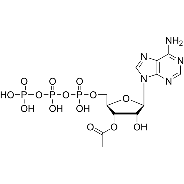 3′-Acetate-ATP 90290-58-7